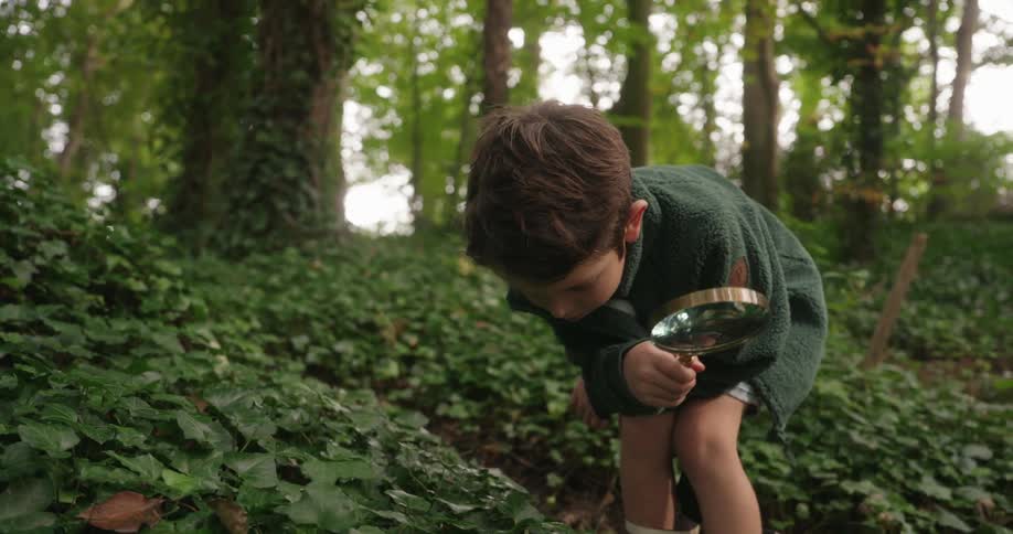 A little boy is standing in the woods looking at plants with a magnifying glass