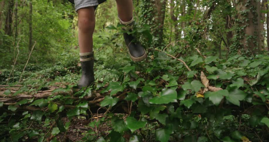 A child walking on a fallen tree trunk in the forest