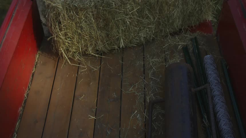 A person pulls a hay bale from the back of a truck