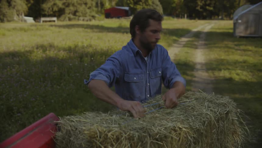 A man carries hay off the back of a truck