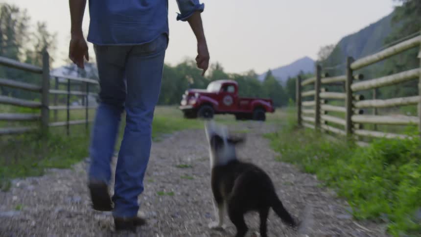 A puppy excitedly runs and jumps next to a man on a farm