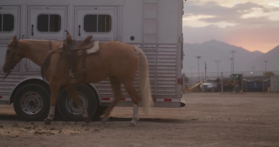 A woman leading a horse through the dirt field