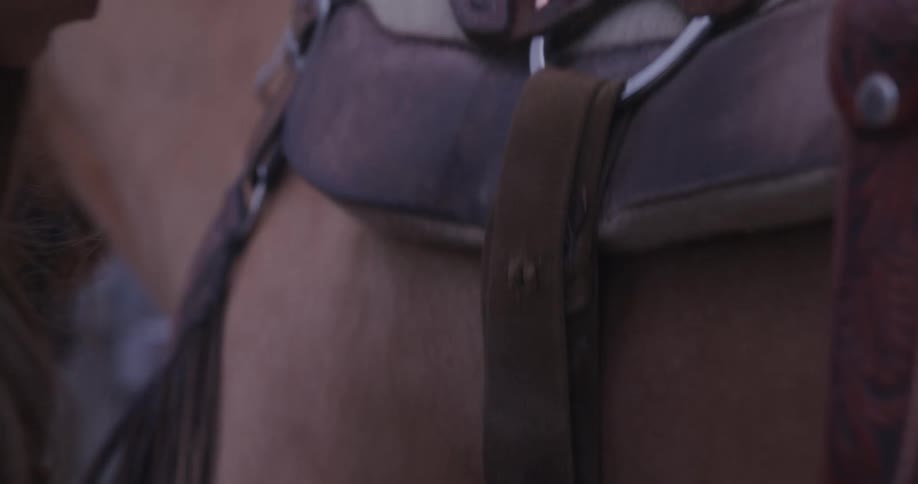Woman putting a harness on a horse