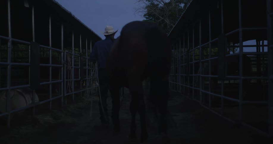 A man wearing a hat and walking a horse in a stable in the evening