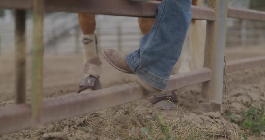 Close up on the legs of a person and a horse