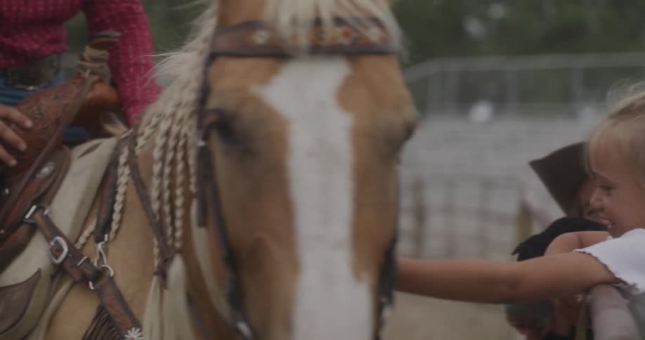 A girl scratches the neck of a horse