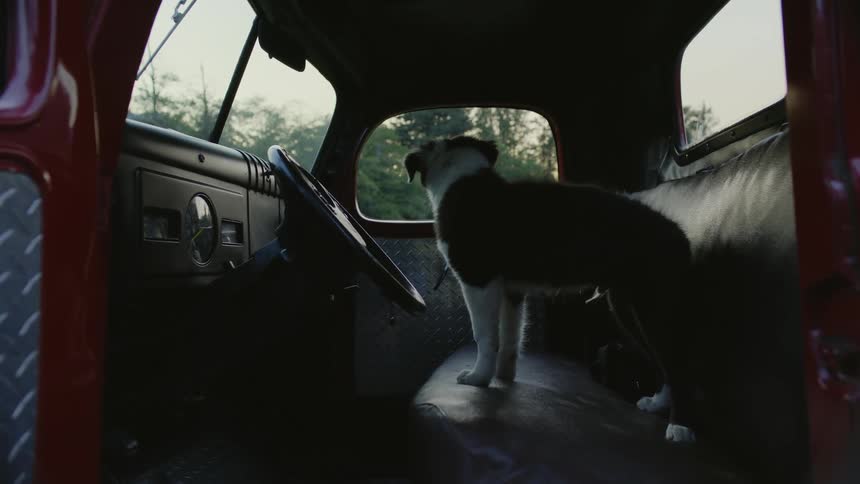 A man gets into his red pick up truck and sits next to his dog