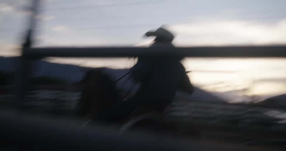 Two men on horses swing ropes at a running bull at sunset