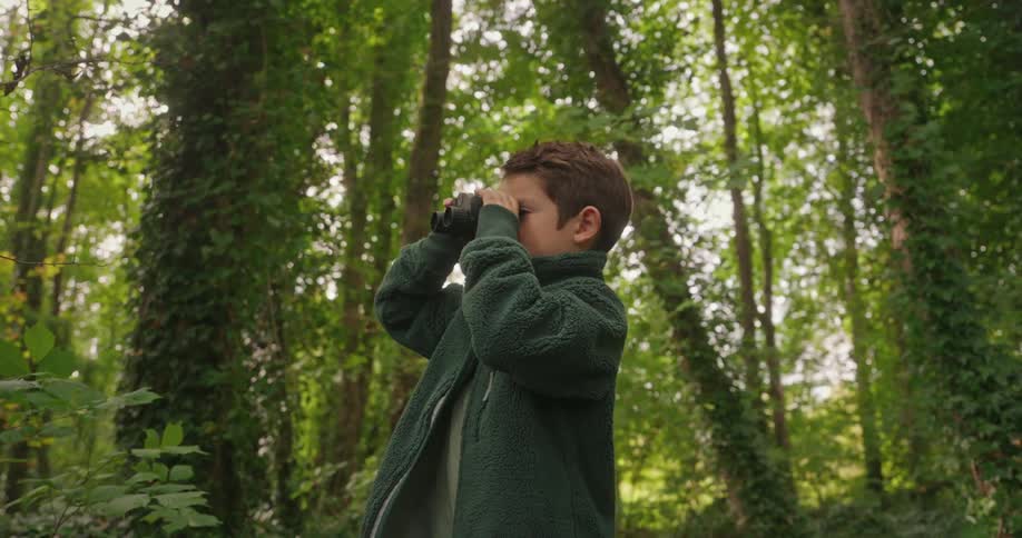A little boy is standing in the woods looking around through his binoculars
