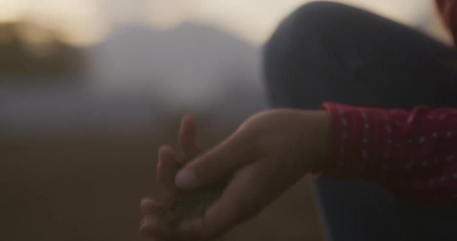 Close up of a persons hands picking up some soil