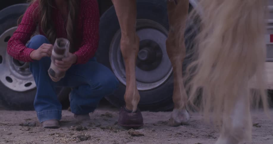Cowgirl puts protective shoes on her horse