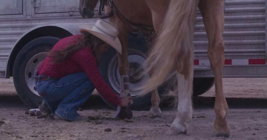 Horsewoman crouches near horse trailer and wraps horses lower leg