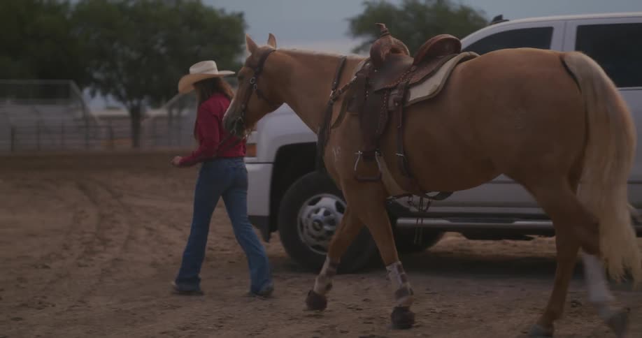 Cowgirl guides a horse to the corral next to a truck