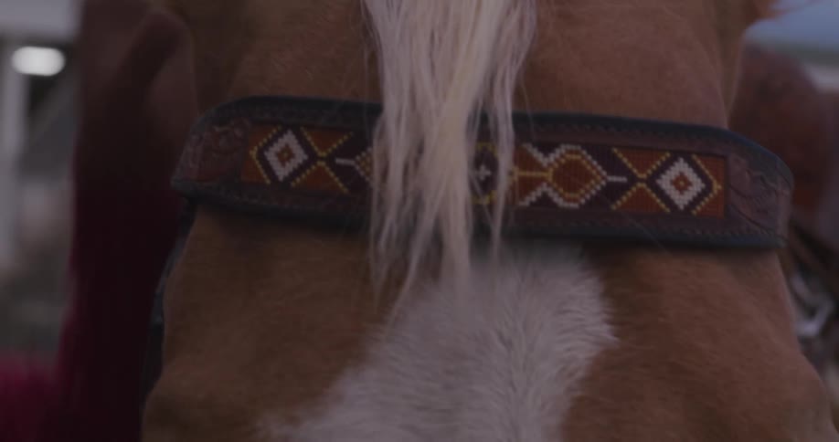 A blonde woman stroking a horses mane