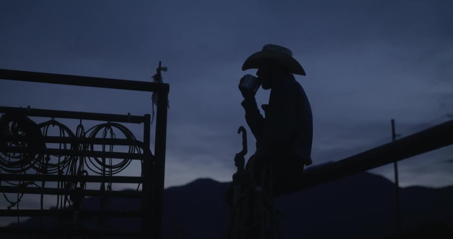 Cowboy silhouetted against sky sits on fence drinking from a mug