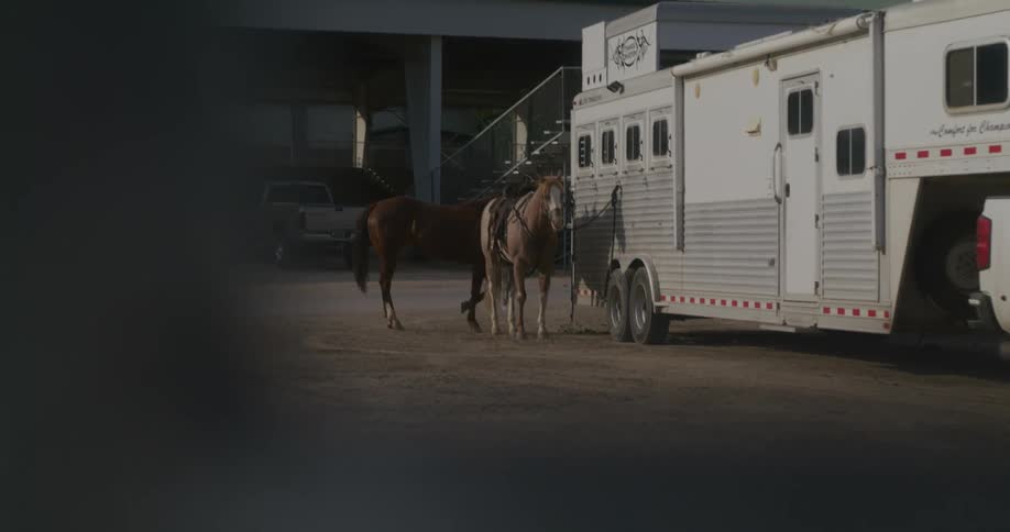 Two horses are standing tied to a horse trailer