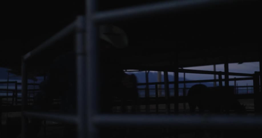 Cowboy enters horse corral carrying horse tack