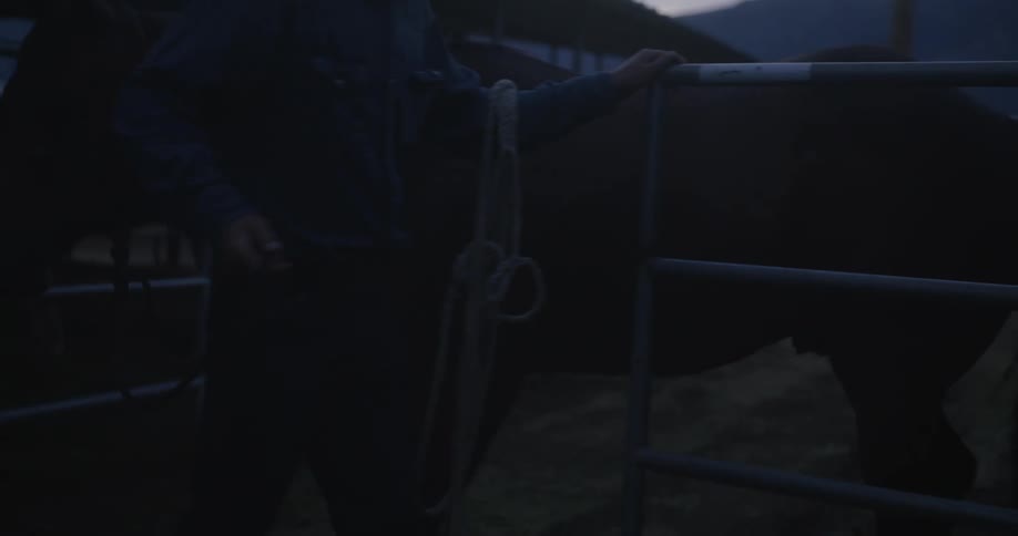 Man taking his horse off the ranch at dawn