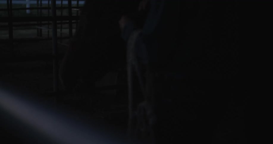 Cowboy tends to a horse inside a stable at dawn