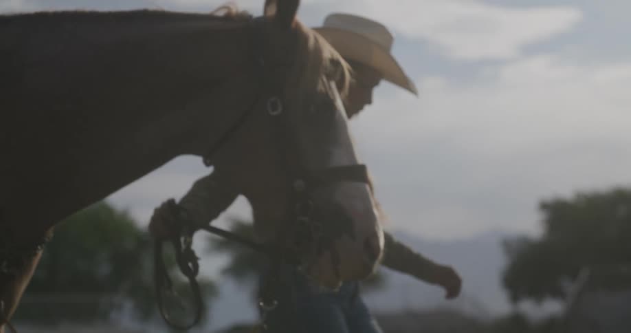 A man walking beside a horse during the day
