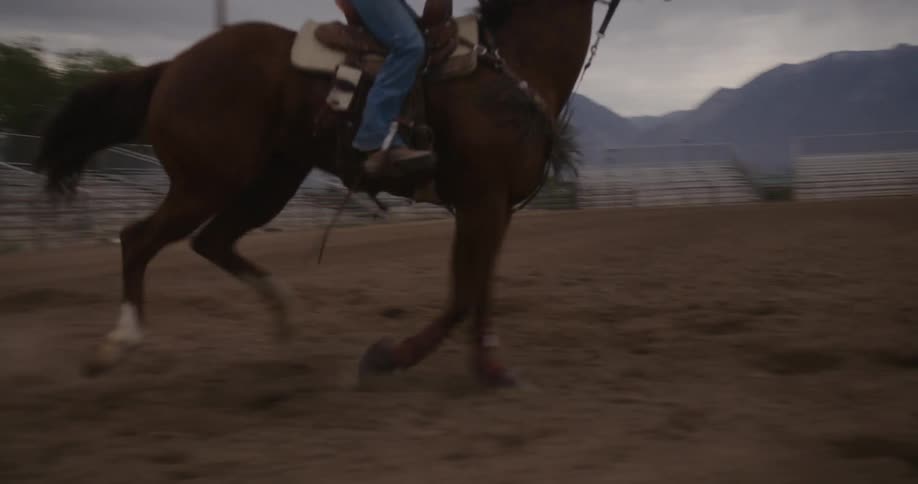 Female riding a horse around barriers at sunset