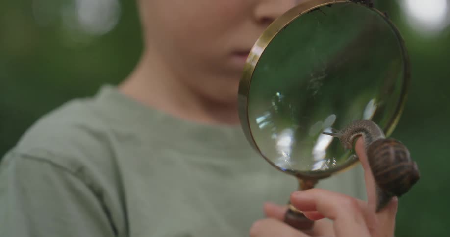A boy looks at a snail on his finger with a magnifying glass