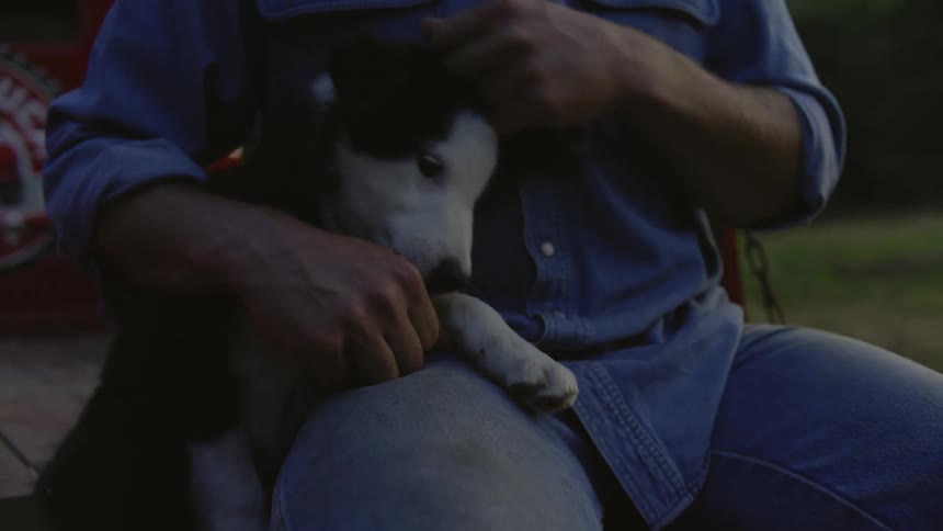 A man sitting on the back of a red pickup truck petting a small puppy