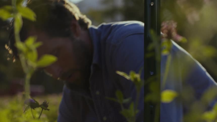 Male farmer working in his garden builds fence and then wipes sweat from his brow