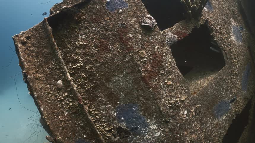 Fish swim around the shipwreck underwater