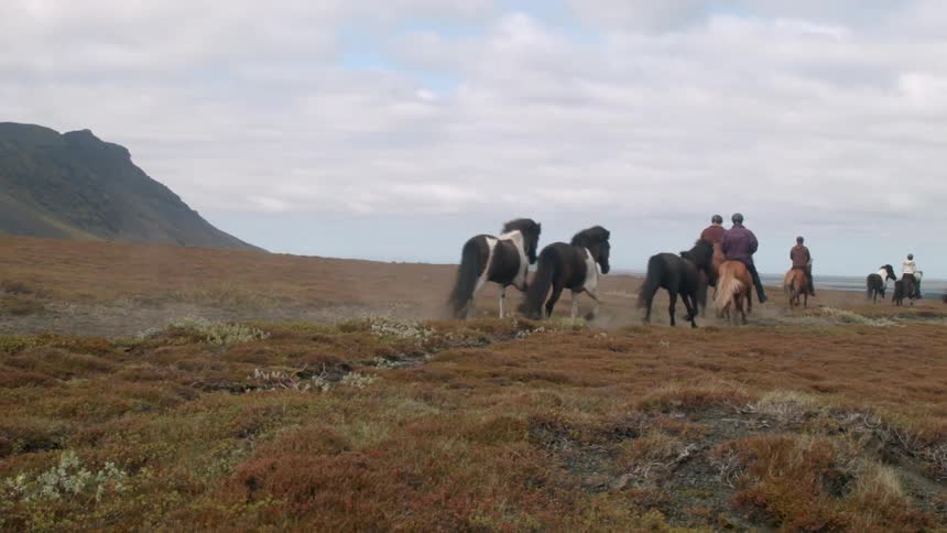 People are riding and guiding horses along a field