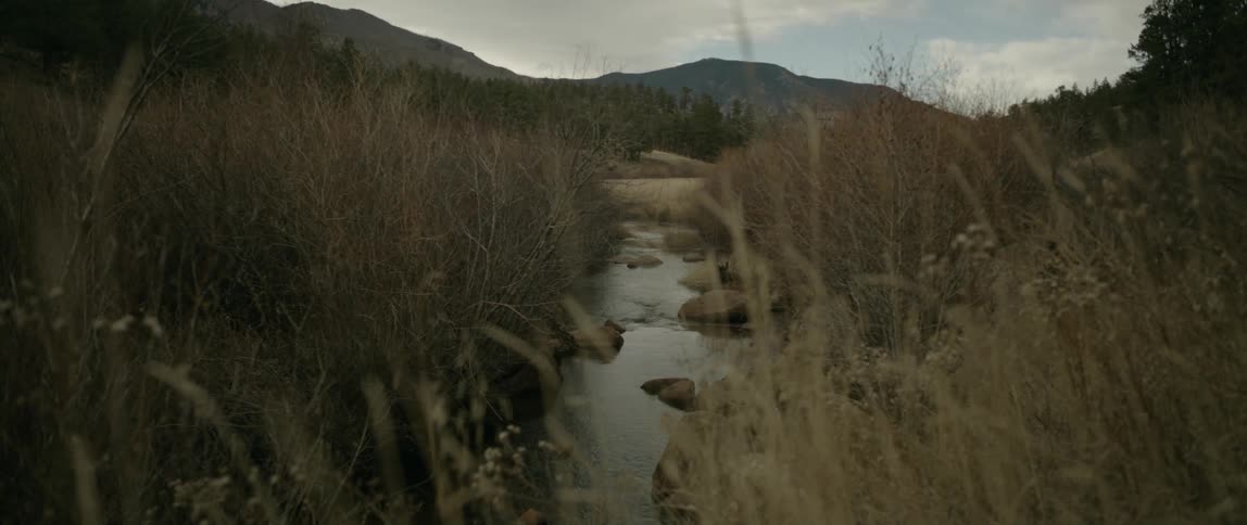 A water stream running through reeds and weeds