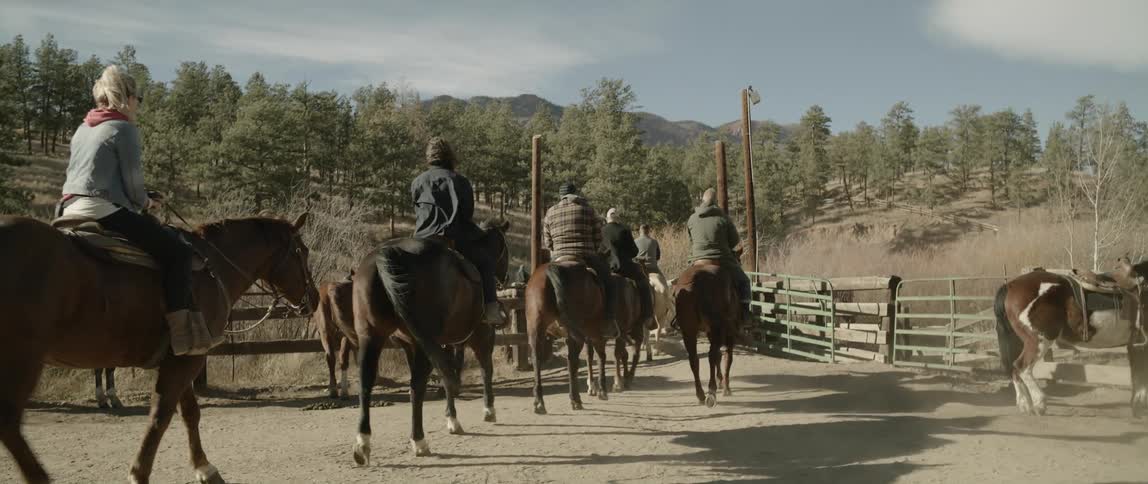 People riding horses in a natural environment during the day
