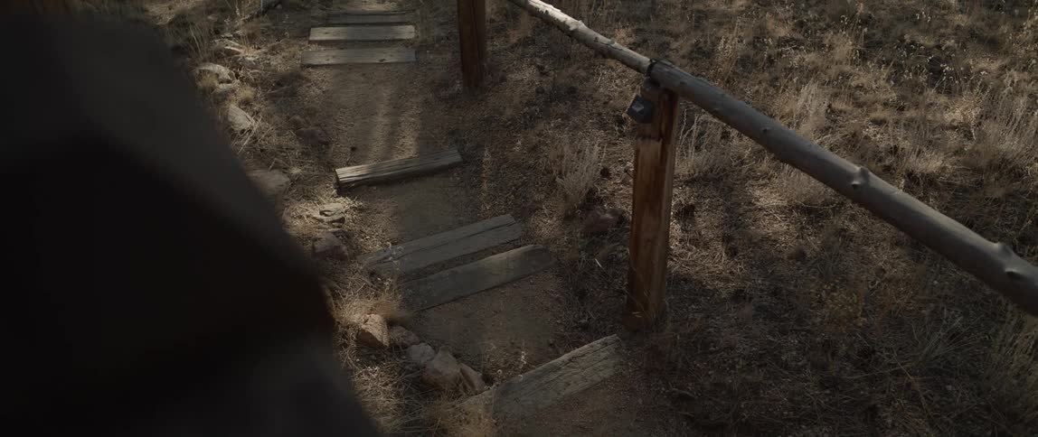 Wooden staircase in the midst of a natural environment