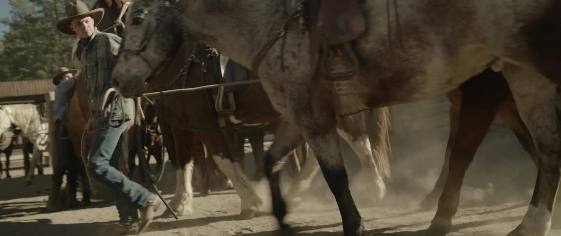 A man leading horses to the corral on a sunny day