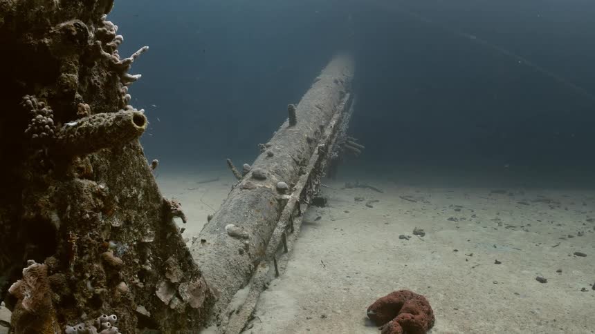 The very old remnants of a ship sit on the ocean floor