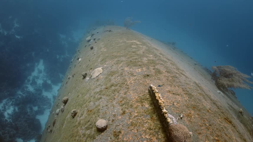 Diving in murky blue water following small fish moving about the body of a coral covered ship wrecked at the bottom of the sea