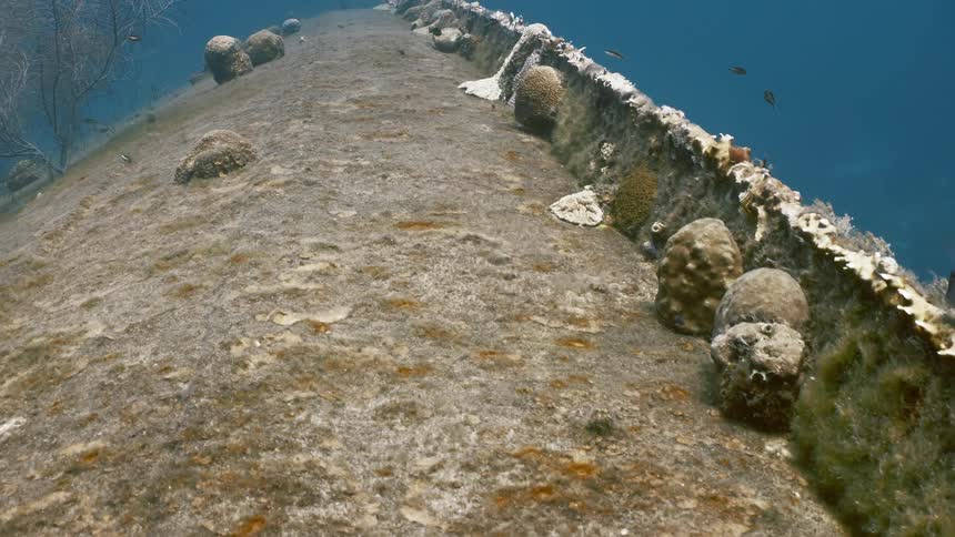 Fish swimming over a wrecked ship in the ocean