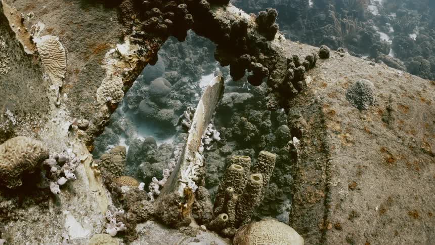 Wreckage on the ocean floor with fish and coral around