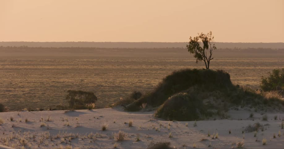 Panorama of a desert under a sunrise sky