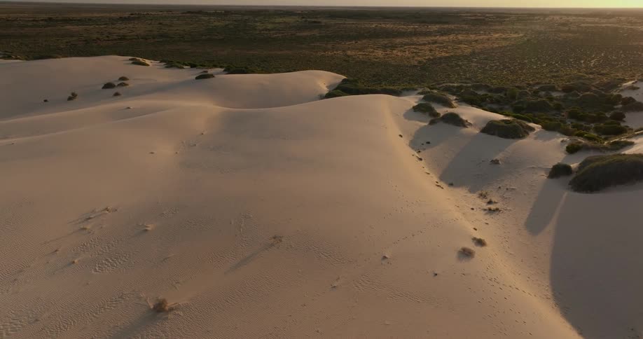 A desert region with sand hills and an area full of vegetation