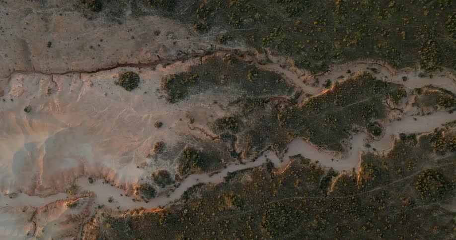 Air view of a coastal island with grasses