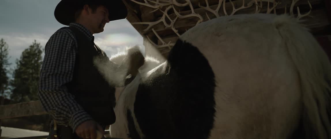 A man in a cowboy hat brushing a horses back
