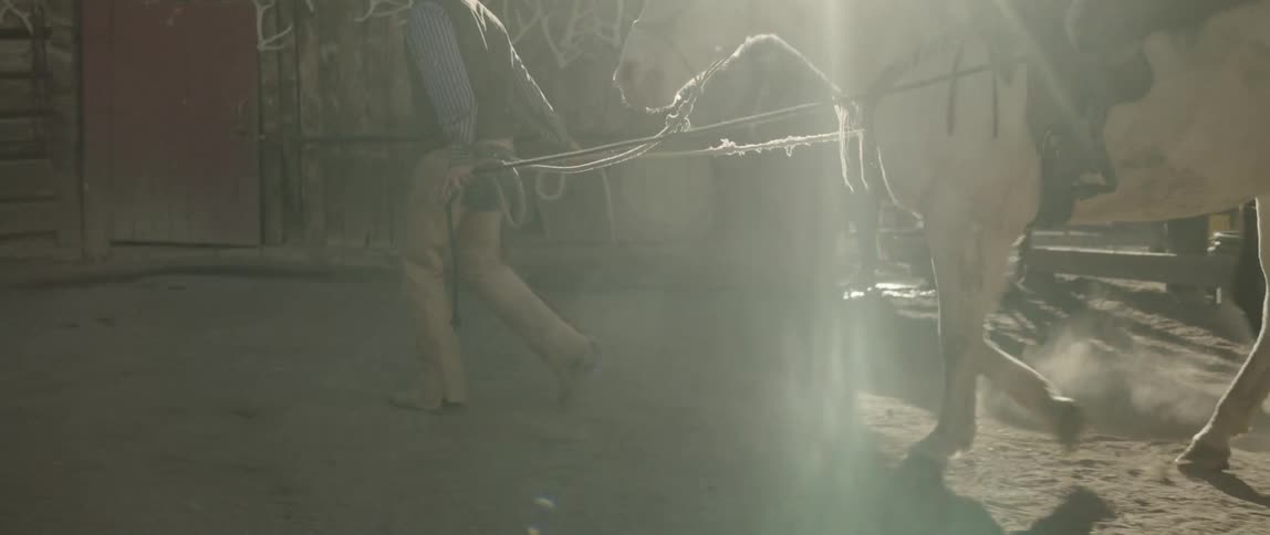 A man leads his horses to the stable