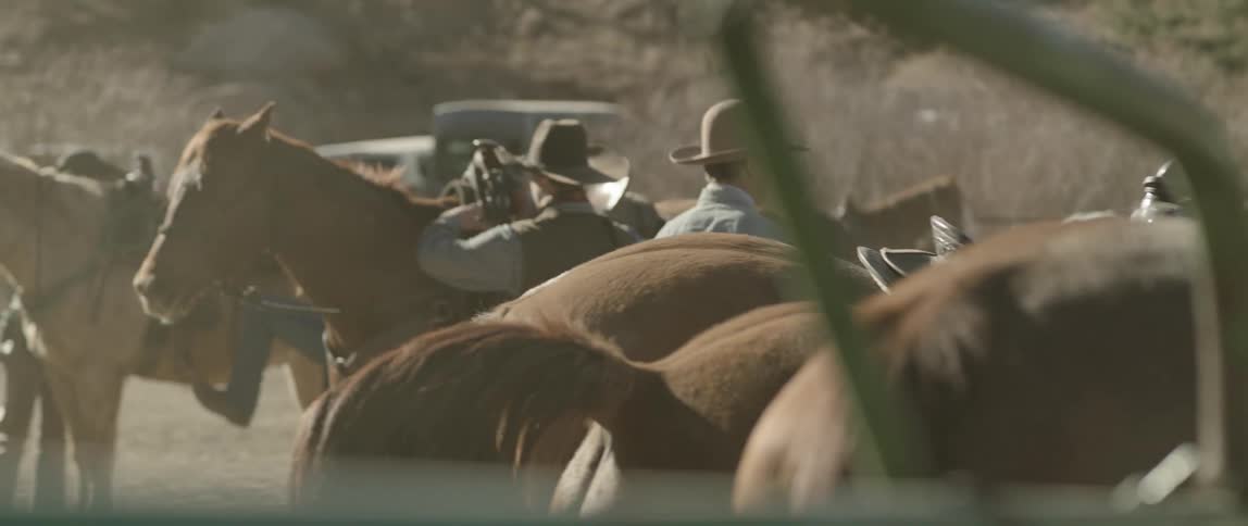 Men with a herd of saddled horses on a ranch