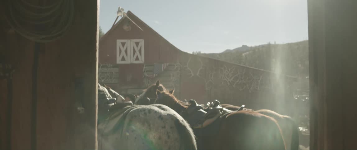 A man holding a saddle while the horse herd is outside