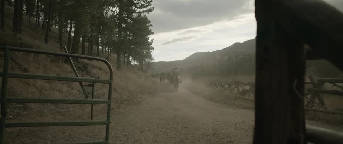 A small dirt road with some horses passing along it