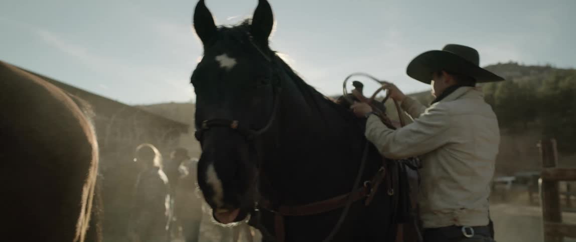 A man puts his lasso on the horse