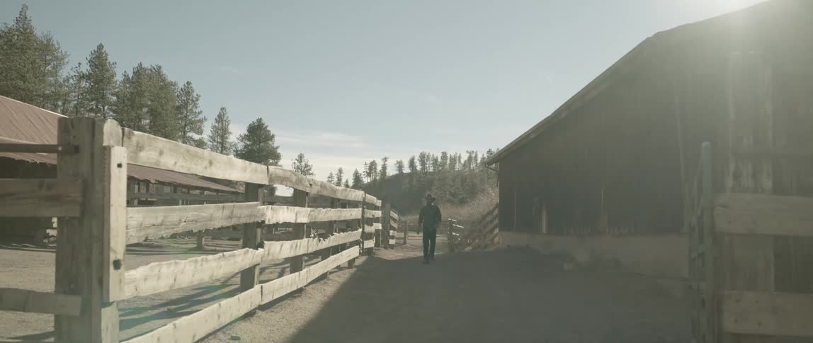 Cowboy walking on a ranch at daytime