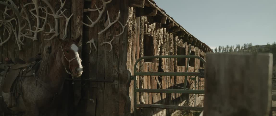 A horse tied to the side of a wooden house