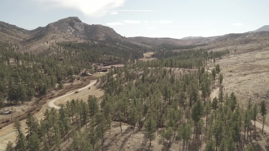 A road runs around trees with mountains across the landscape in the distance